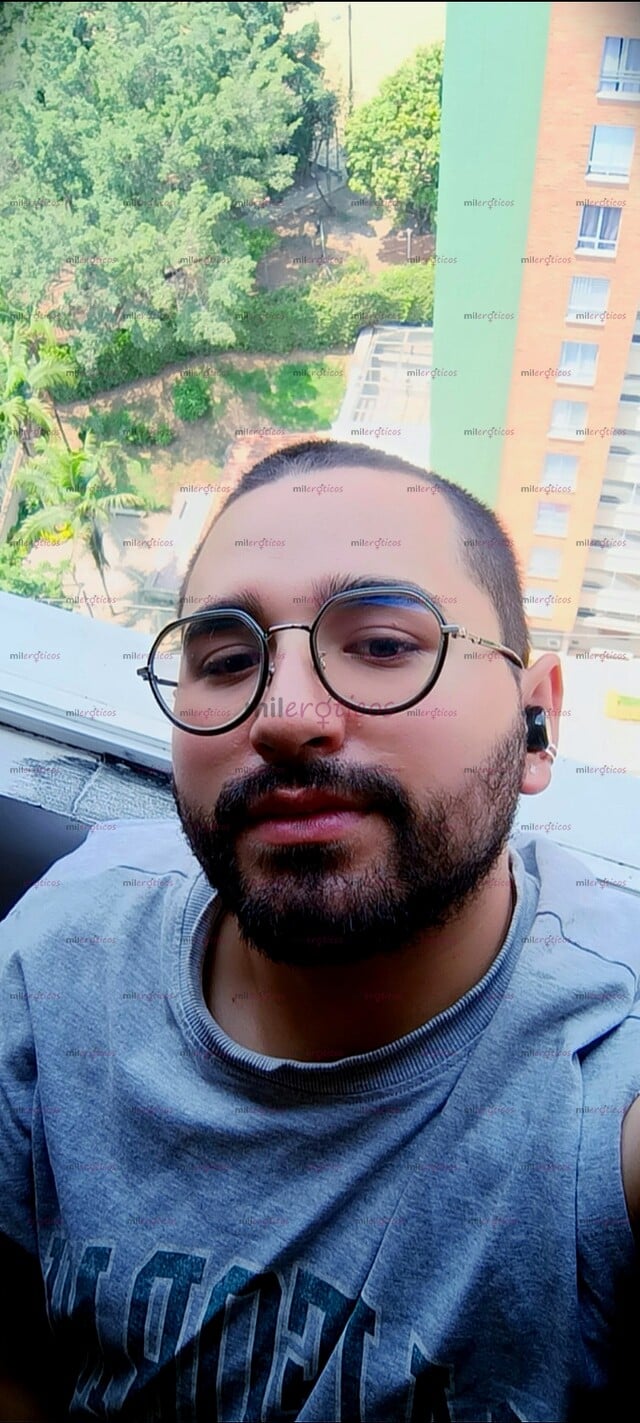 FOTOS DE OSITO PELUDO, VERSÁTIL, VELLUDO CON GANAS DE PASARLA RICO, SITIO, BI.
