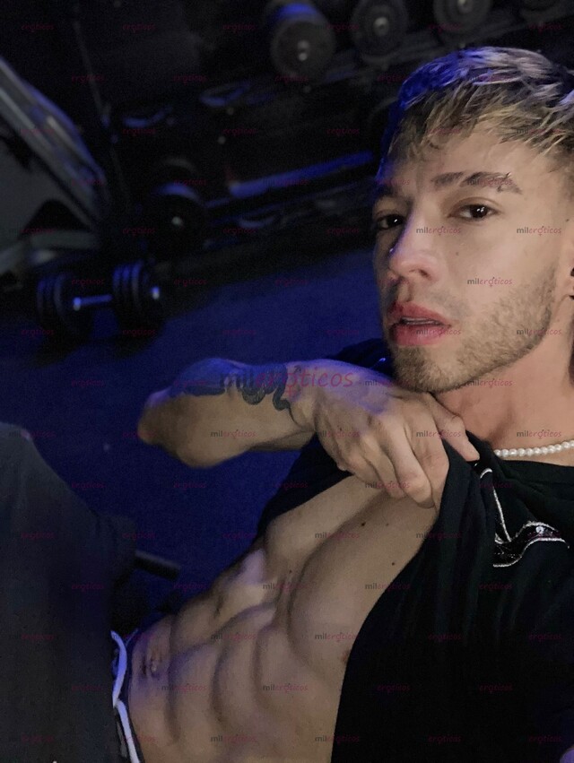 FOTOS DE COLOMBIANO DE PASO JOVEN RESERVADO VERGON TOTAL DISCRECIÓN