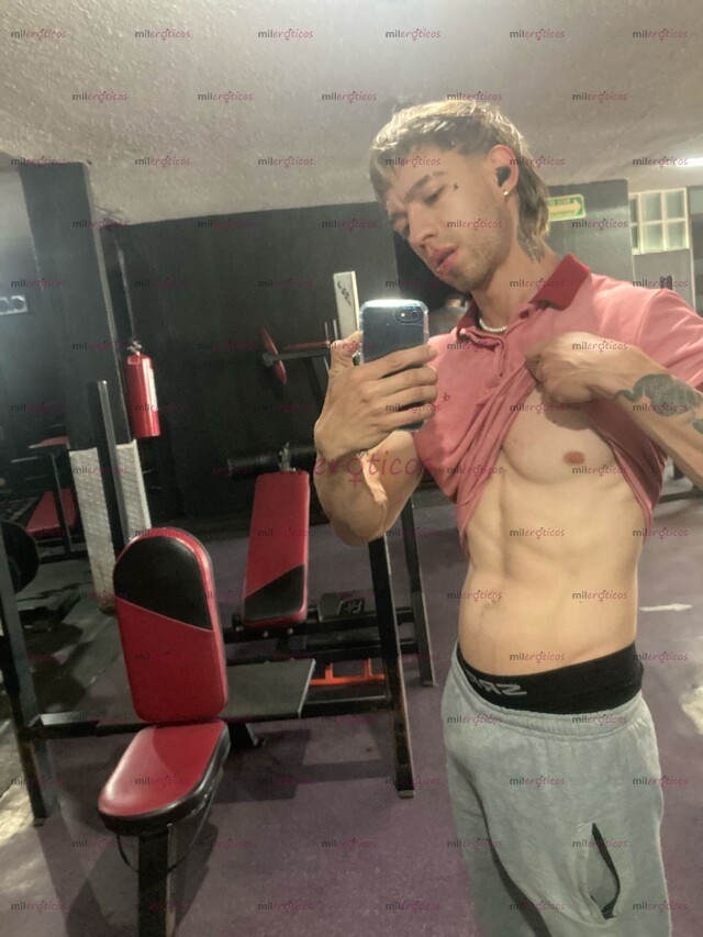 FOTOS DE COLOMBIANO DE PASO JOVEN RESERVADO VERGON TOTAL DISCRECIÓN