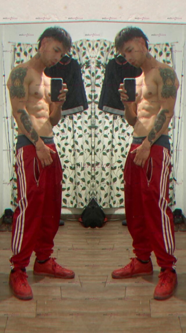 FOTOS DE COLOMBIANO DE PASO JOVEN RESERVADO VERGON TOTAL DISCRECIÓN