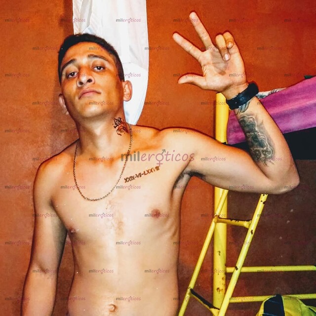 FOTOS DE CHACAL DIVERTIDO Y APASIONADO ( ESCORPIO)