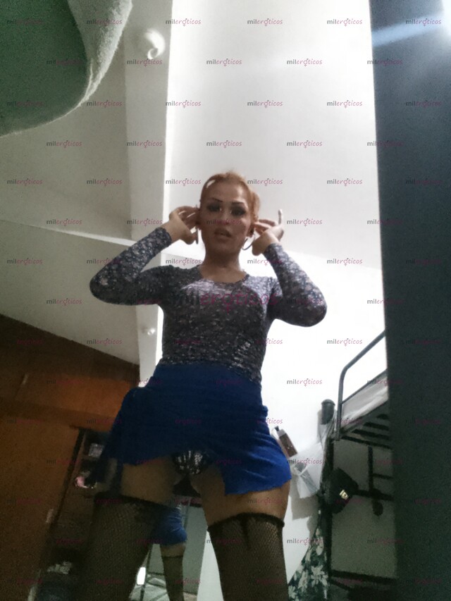 FOTOS DE CHICA TRANS, EXTRANJERA ATIENDEN DISPONIBLE,ACTIVA O PASIVA DOTADA