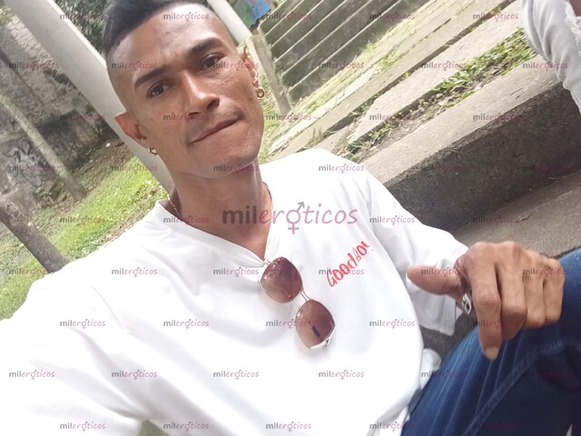 FOTOS DE FUL PANAMEÑO ALTO MORENO FUL LECHERO DOMINANTE MIDO 183 FUL MORBO