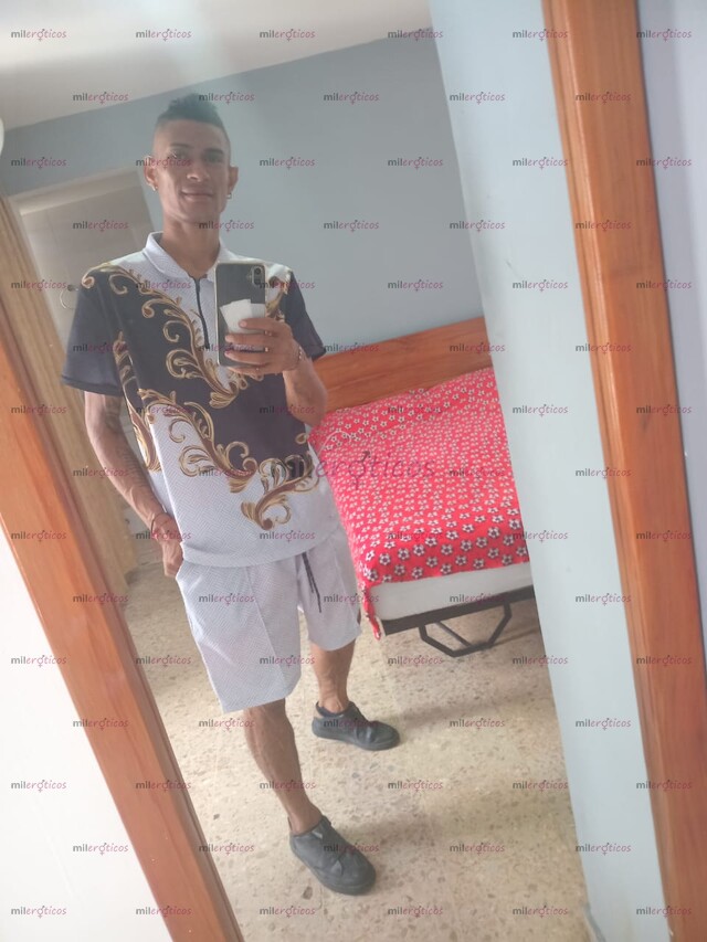 FOTOS DE FUL PANAMEÑO ALTO MORENO FUL LECHERO DOMINANTE MIDO 183 FUL MORBO