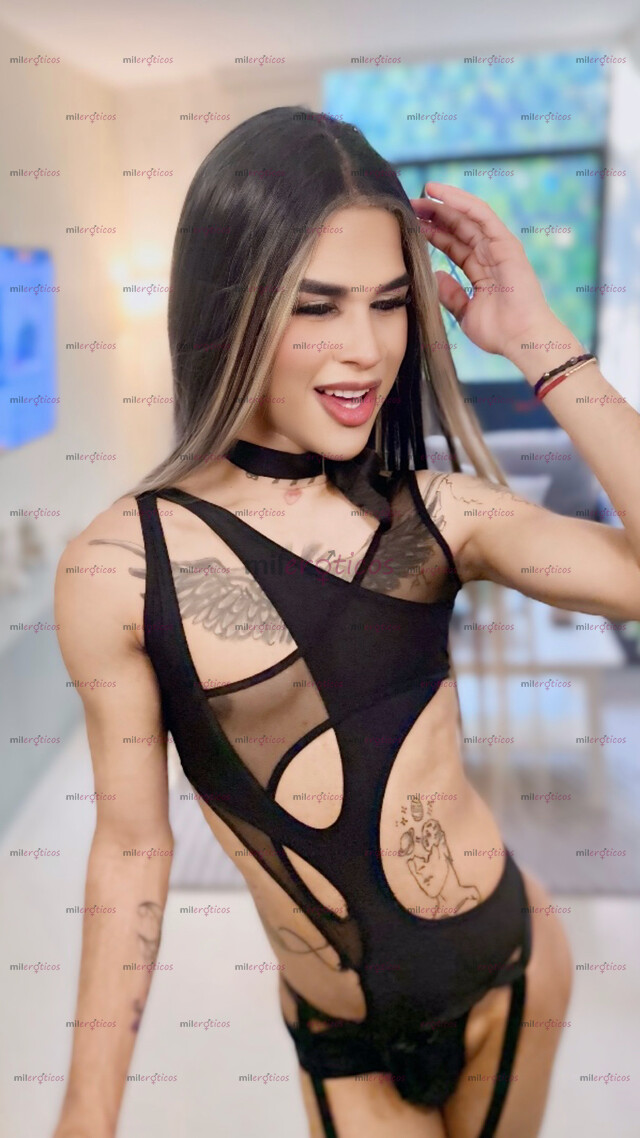 FOTOS DE ALAYHA NENA TRANS VERSÁTIL VERGONA Y BUEN CULO BIEN CALIENTE CON SITIO PRIVADO