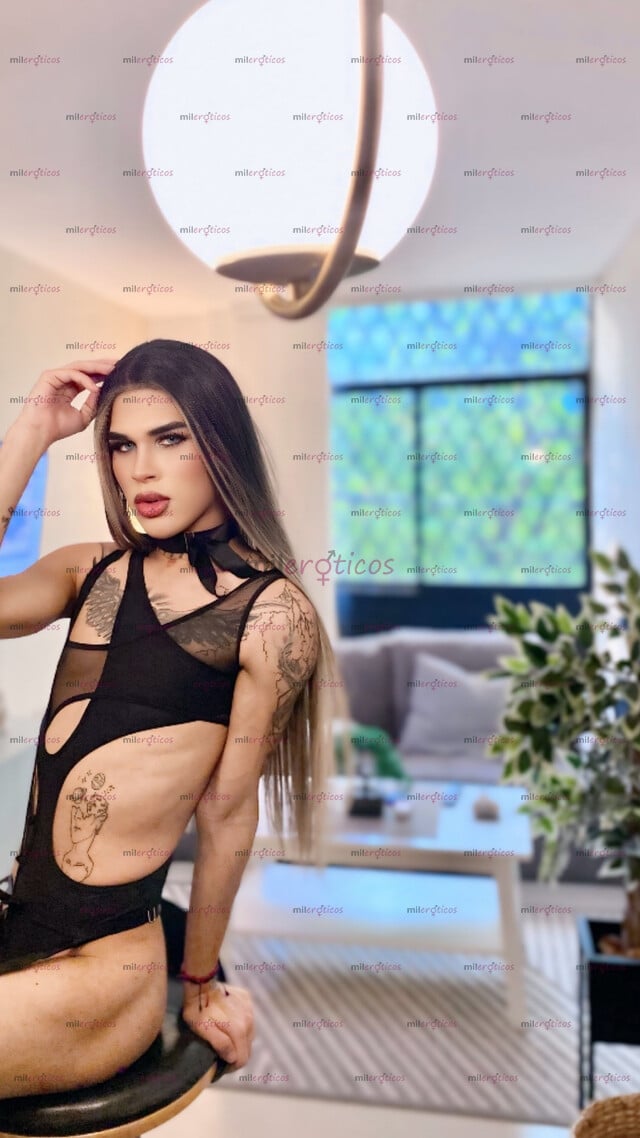 FOTOS DE ALAYHA NENA TRANS VERSÁTIL VERGONA Y BUEN CULO BIEN CALIENTE CON SITIO PRIVADO