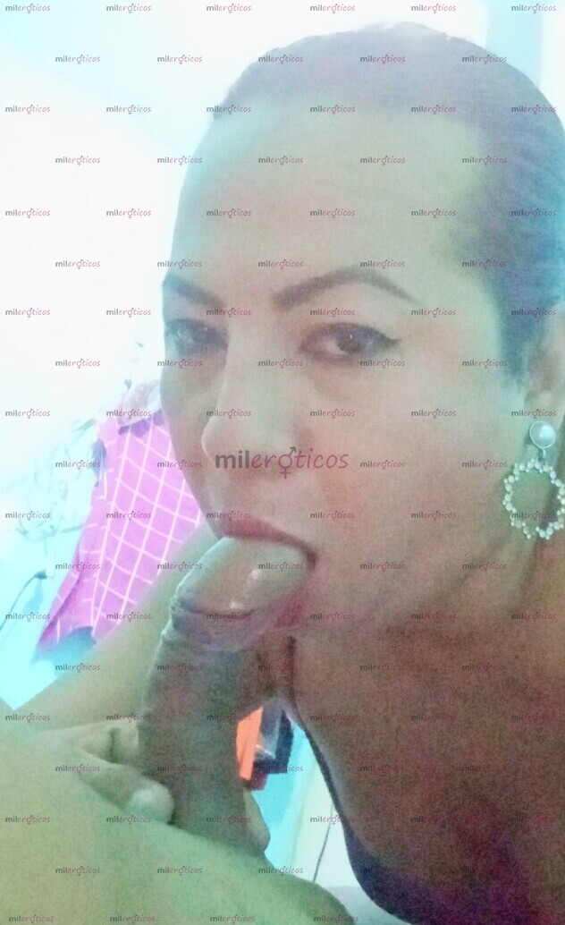 FOTOS DE TRANSEXUAL PASIVA ADICTA A CHUPAR BB CON GARGANTA PROFUNDA