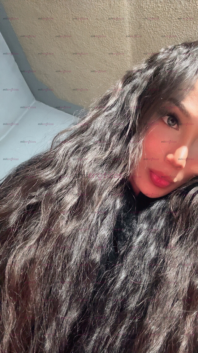 FOTOS DE BELLA Y SENSUAL ESCORT TRANS, CONTACTAME! 6271173570