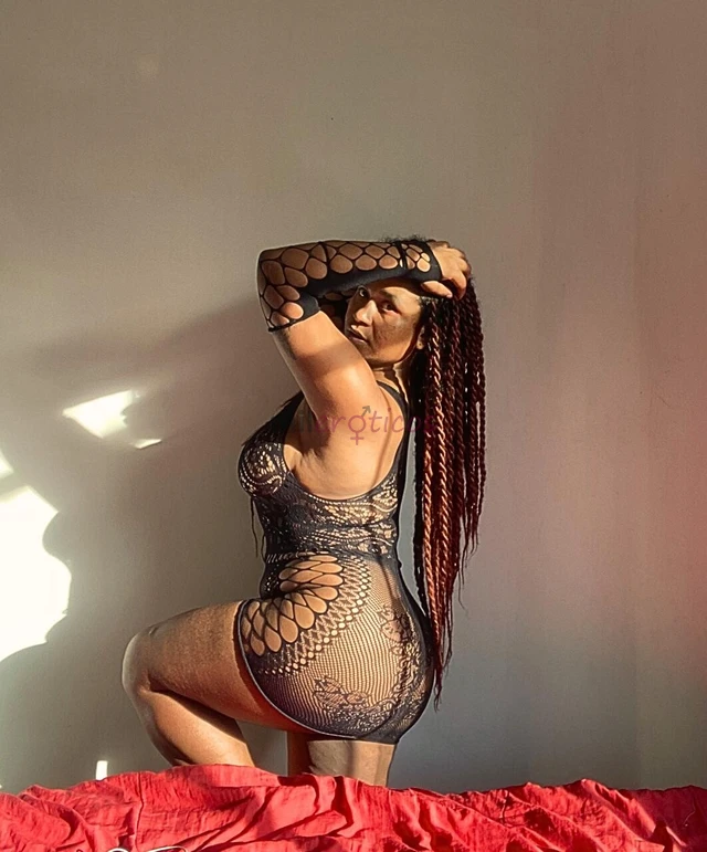 Iniciante cheio de curiosidade e pronto para descobrir o que te faz perder o folego com curvas que vao te hipnotizar e uma mente aberta para novas e i...