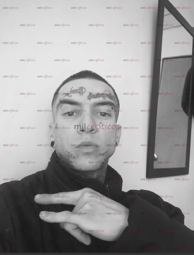 FOTOS DE TORO ACTIVO, VERGA GRANDE Y GRUESA,ACTIVO DOMINANTE NEA COLOMBIANO