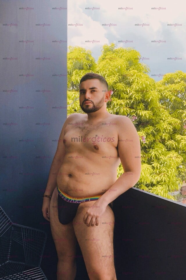 FOTOS DE OSO DE REGRESO EN TU CIUDAD, POCOS DÍAS, YA DISPONIBLE