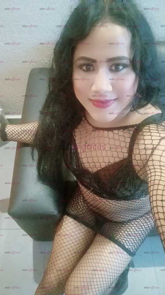 FOTOS DE SERÉ TU PERRITA CALIENTE LOS 3 ROLES QUE BUSQUES