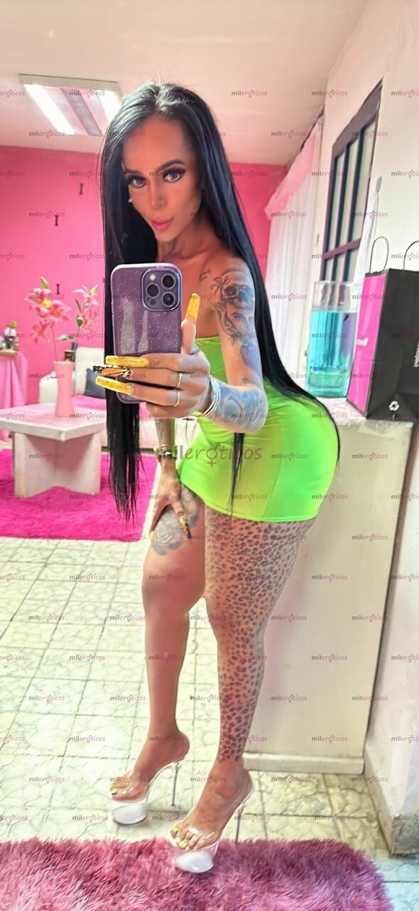 FOTOS DE FIESTERA Y CACHONDA SOLO HOY EN CORDOBA AGENDA TU CITA EXUBERANTE TRANSEXUAL
