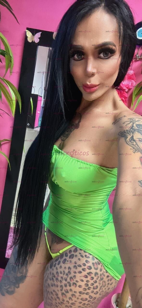 FOTOS DE FIESTERA Y CACHONDA SOLO HOY EN CORDOBA AGENDA TU CITA EXUBERANTE TRANSEXUAL
