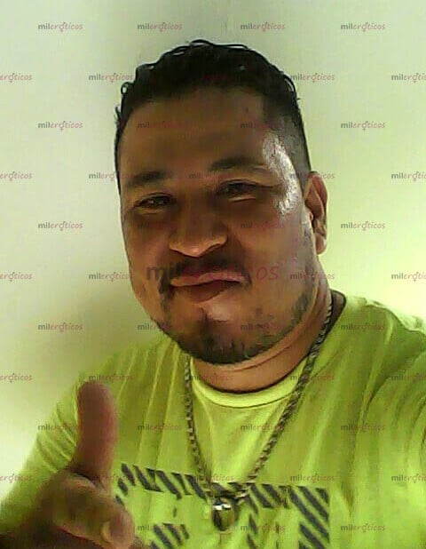 FOTOS DE EN VERACRUZ MORENO ACTIVO VERGUDO 19 CM GRUESOS LECHUDOS 2294010429 LLAMA AHORA