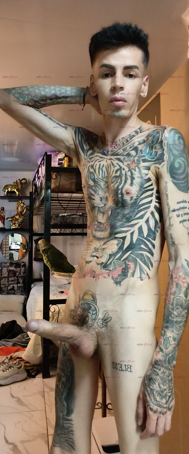 FOTOS DE FLACO LECHERO MORBOSO TATUADO SEXUAL VERGON