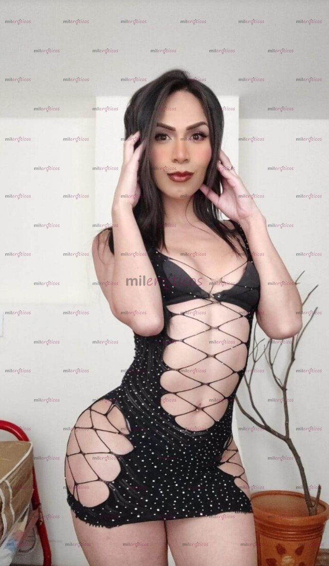 FOTOS DE SERVICIOS DE VIDEOLLAMADAS Y CONTENIDO ENTRA AL ENLACE CON UNA TRANS DE VERDAD