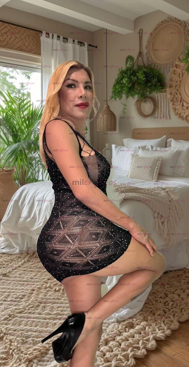 FOTOS DE TIENES GANAS DE RELAJARTE SO HOY DISPONIBLE PARA TI CHICA TRANS NUEVA EN TU CD.