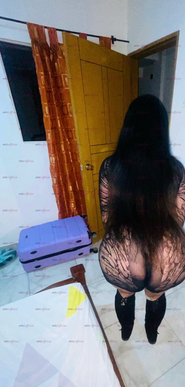 FOTOS DE PERRITA SEDIENTA DE LECHE Y CON GANAS DE ABRIR EN 4 PATAS Y QUE ME DETONES