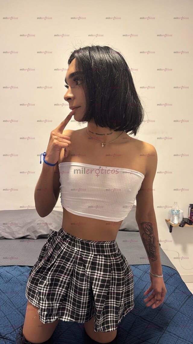 FOTOS DE FEMBOY MICHELLE CHICA CALIENTE SOLO CONTENIDO Y VIDEOLLAMADAS