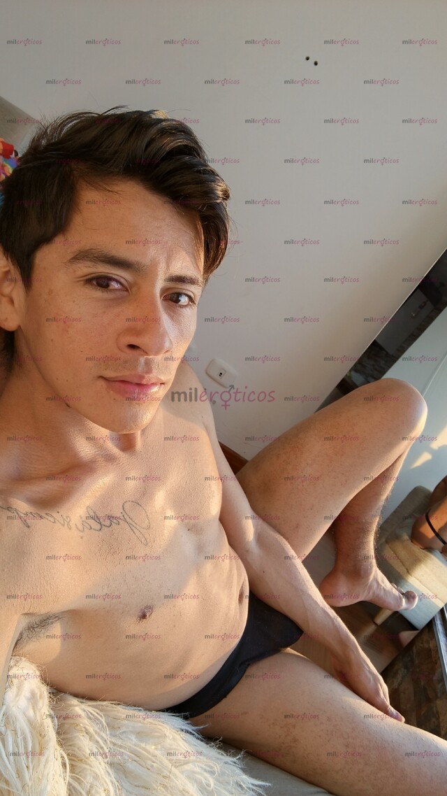 FOTOS DE POLLITO PINTA VERGÓN VERSÁTIL CON SITIO CÓMODO Y DISCRETO.