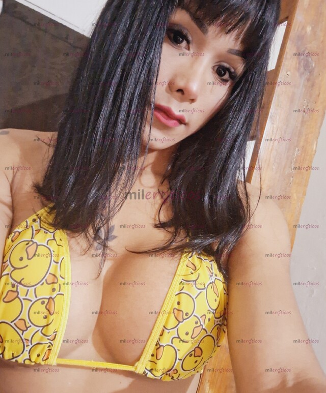 FOTOS DE RENATA NIÑ TRANS VERG LECHERA EXPERT EN PRIMERIZOS