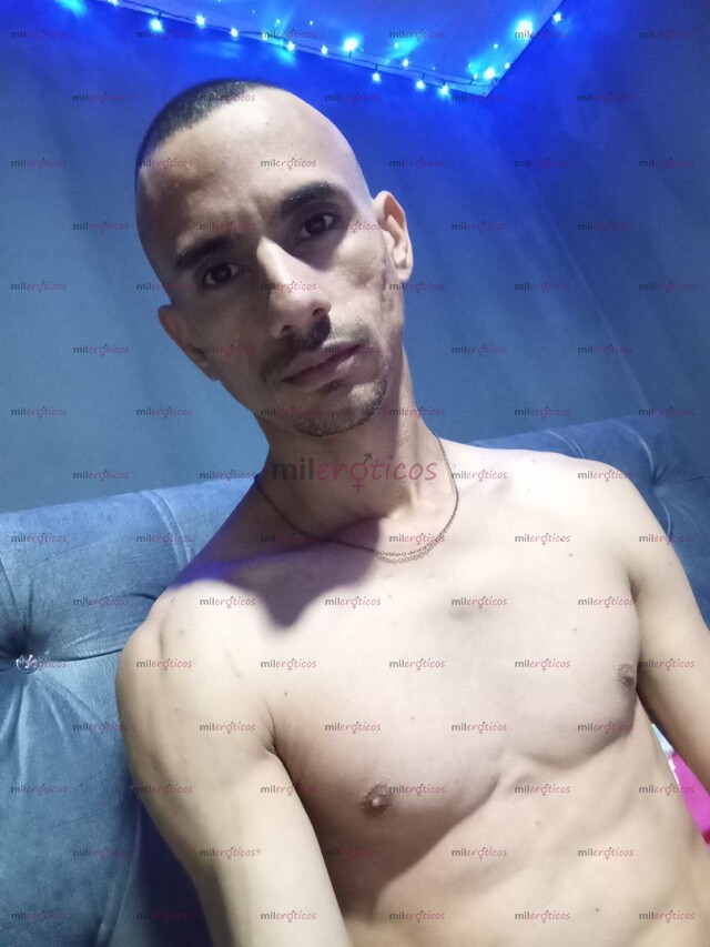 FOTOS DE ACTIVO VERGÓN NO SITIO SERVICIOS EN BOGOTÁ