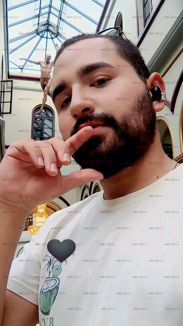 FOTOS DE OSITO PELUDO, VERSÁTIL, VELLUDO CON GANAS DE PASARLA RICO, SITIO