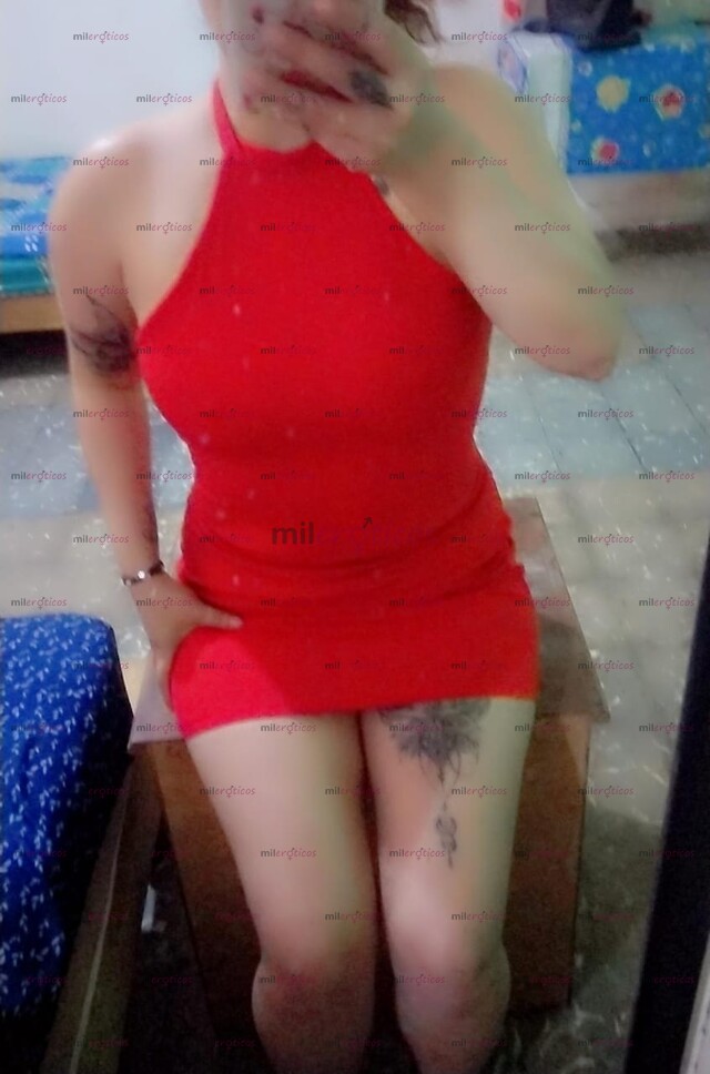 FOTOS DE SOY UNA PERRITA EN LA CAMA VEN Y COMPRUEBALO