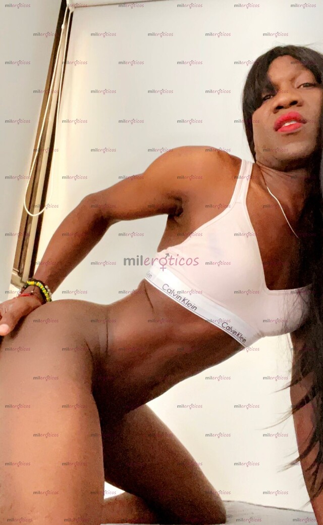 FOTOS DE TIFANA ARRECHITA VERGONA VENTA DE