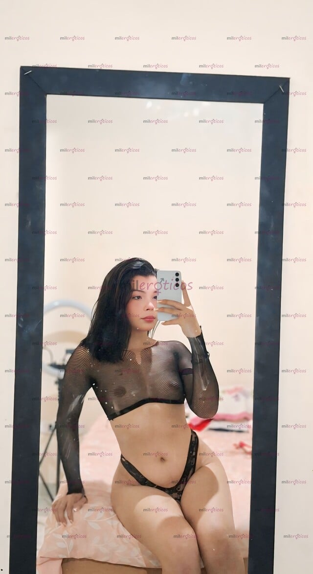 FOTOS DE UNA PERRA TRANS SORPRENDENTE CURVILÍNEA Y ELOCUENTE