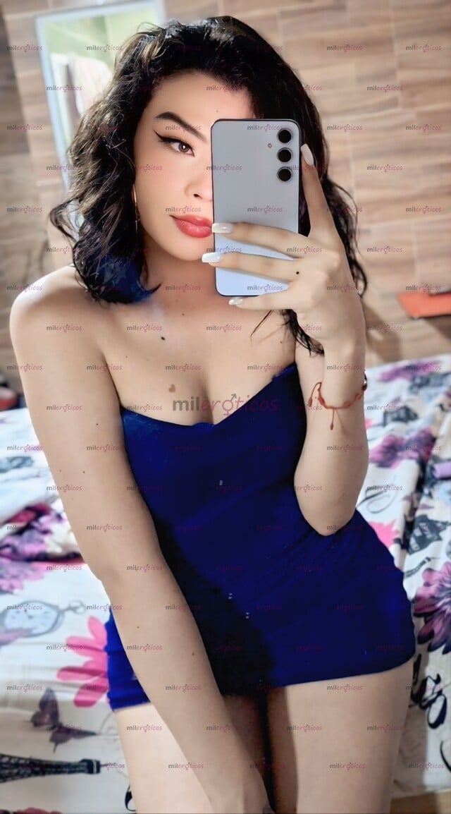 FOTOS DE UNA PERRA TRANS SORPRENDENTE CURVILÍNEA Y ELOCUENTE