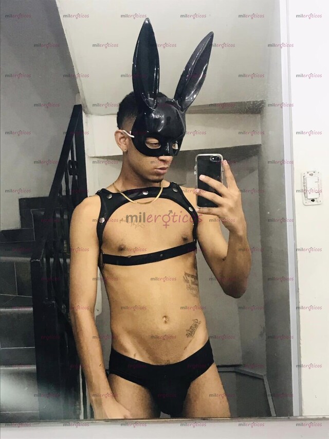 FOTOS DE POLLO VERSÁTIL MENTE ABIERTA Y DIVERTIDO