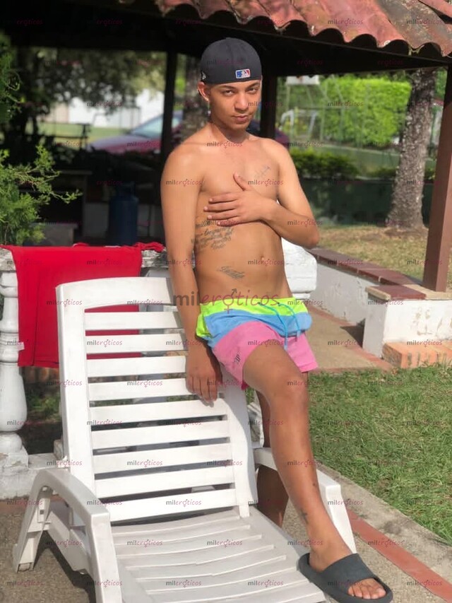 FOTOS DE POLLO VERSÁTIL MENTE ABIERTA Y DIVERTIDO