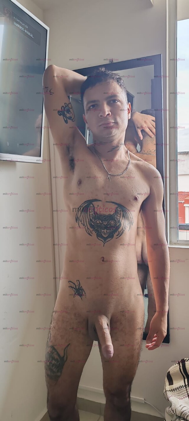 FOTOS DE MORRO VIP CHAKAL ACTIVO PREÑADOR A DOMICILIO XL LECHERO