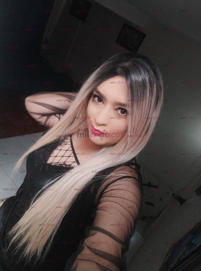 FOTOS DE MONA NENITA TRANNY FEMENINA ARRECHA PASIVA MAMADORA COMPLACIENTE VEN YA