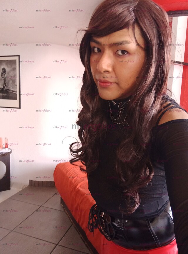 FOTOS DE TRAVESTI, PET, KINKY, GAYMER, FETICHISTA