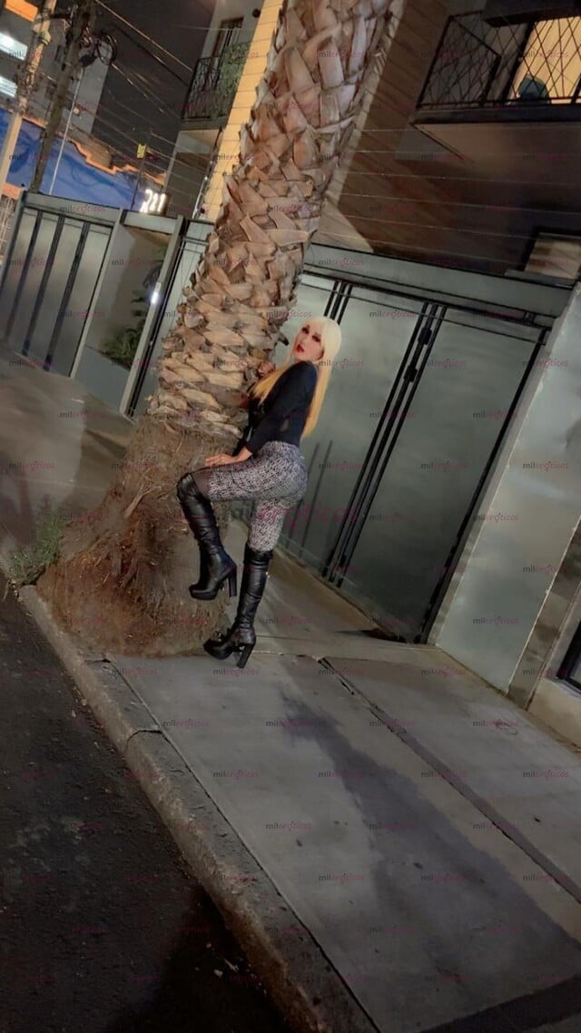 FOTOS DE RUBIA TRAVESTI COMPLACIENTE FOGOSA COMPLACIENTE CDMX 5525187400