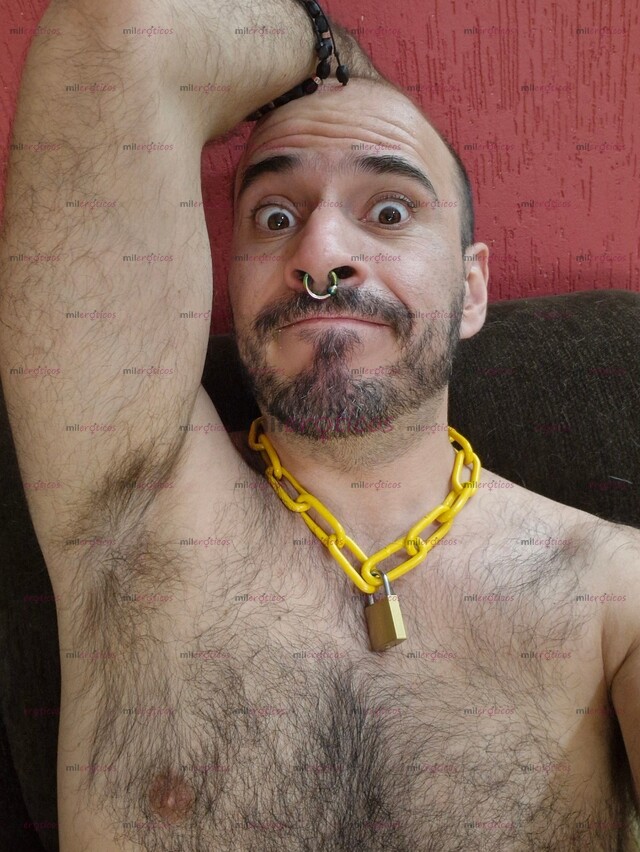 FOTOS DE TU PERRO FIEL PARA HACERTE COMPAÑÍA Y CUMPLIR TUS FANTASÍAS