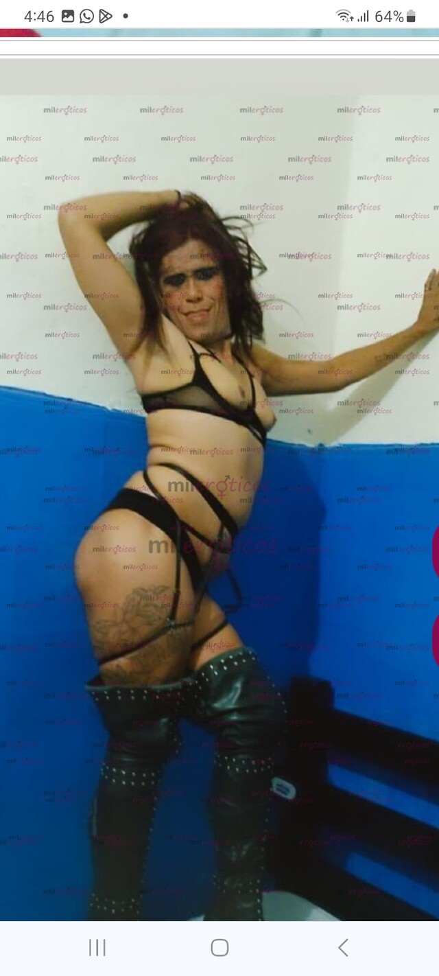 FOTOS DE HOLA AMOR NUEVA EN TU CIUDA CHICA TRAN VENEZOLANA