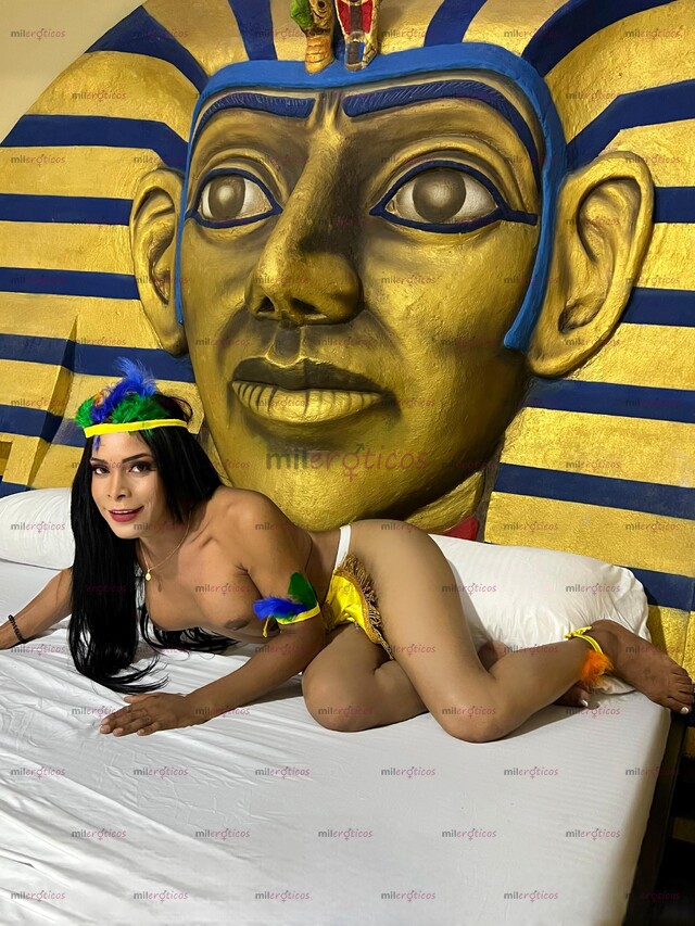 FOTOS DE EXPERTAS EN BAÑOS MARRÓN LLUVIA BLANCA Y FIIESTERA BLAANCAA