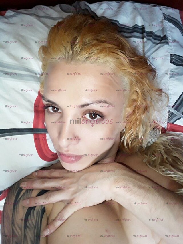 FOTOS DE SEX SIMBOL ALEXA PRINCEXXX 3165658160 PALMIRA