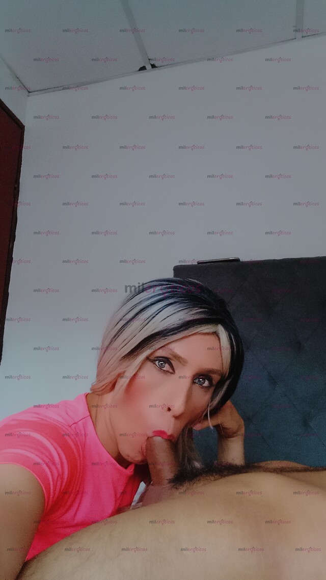 FOTOS DE ESTOY DE PASO VERGONA LECHERA 20CM CON SITIO