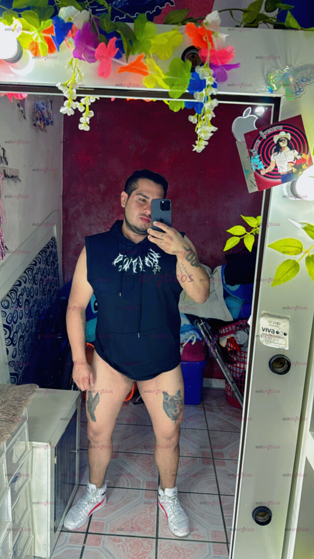 FOTOS DE PASIVO GORDITO VARONIL AMABLE EDUCADO RESERVADO Y DISCRETO