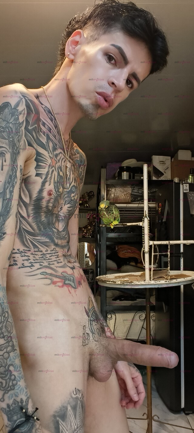 FOTOS DE FLACO BLANCO ACTIVO TATUADO MORBOSO VERGON