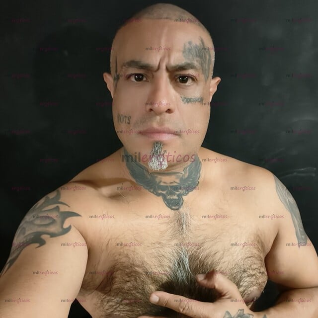 FOTOS DE CHACAL ACTIVO, AMANTE DEL BESO NEGRO, RAPADO, TATUADO, VELLUDO Y COMPLACIENTE.