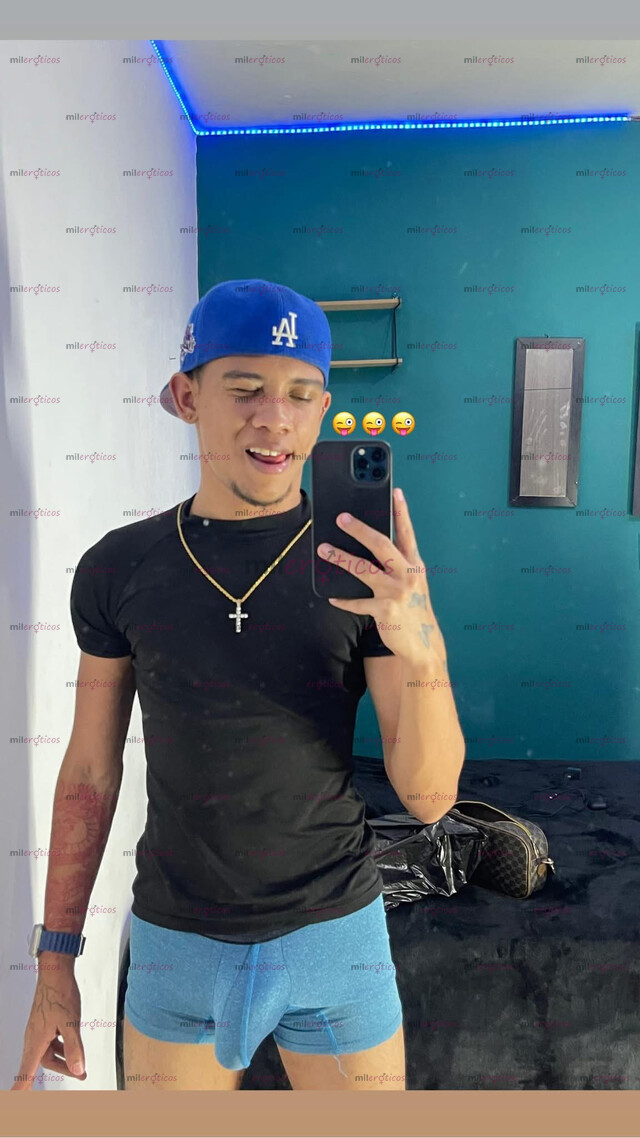 FOTOS DE POLLO VENEZOLANO VERSÁTIL DE 20CM COMPLACIENTE