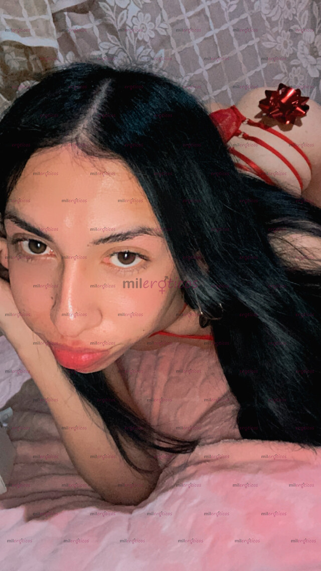 FOTOS DE TRANS 24, VENTA DE CONTENIDO, ENCUENTROS