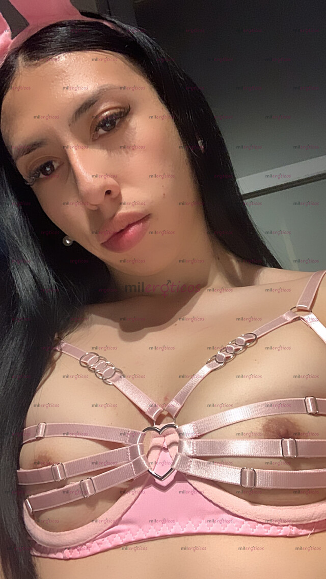 FOTOS DE TRANS 24, VENTA DE CONTENIDO, ENCUENTROS