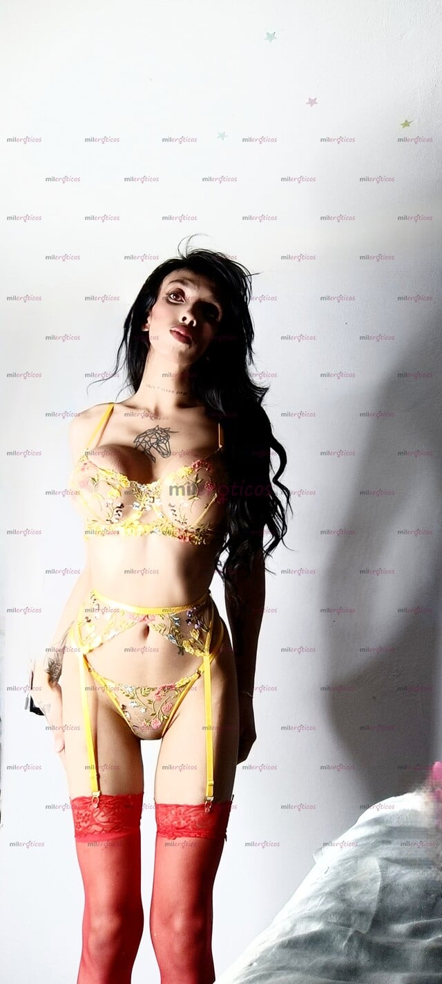 FOTOS DE LIVIA TRANS PUTITA VIP VERGONA BESOS, POSICIONES Y CONTENIDO XXX